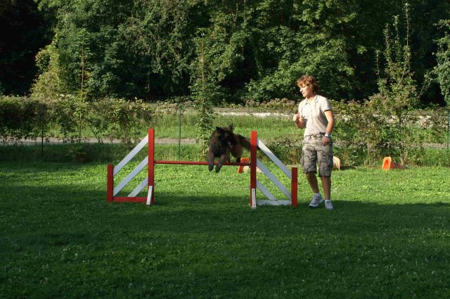 agility 2011-08